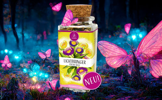 Lichtbringer & Nervenstärke