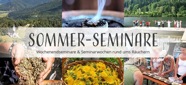 Save the Date: Sommerseminar 2025
